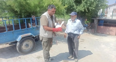 Konya'da yaralı halde bulunan leylek tedaviye alındı