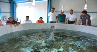 Kumluca'daki iş insanları su ürünlerine yöneldi