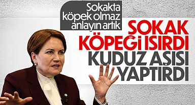 Meral Akşener'i sokak köpeği ısırdı
