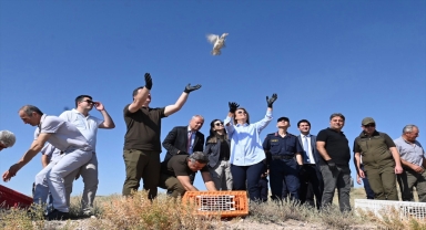 Nevşehir'de 500 kınalı keklik doğaya salındı