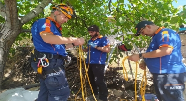 Niğde'de su kuyusuna düşen köpeğin imdadına AFAD ekipleri yetişti