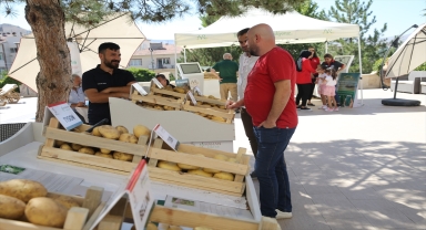 Patateste yüksek rekolte bekleniyor