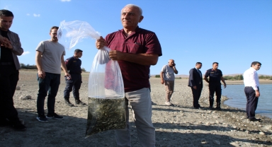 Şarkışla'da barajlara 100 bin sazan balığı yavrusu bırakıldı