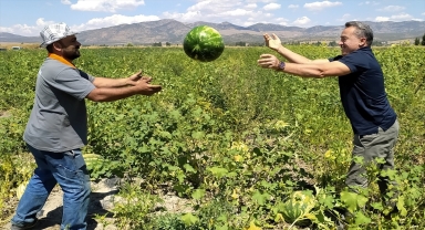 Seydişehir karpuzu ihraç ediliyor