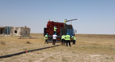 Tuz Gölü'ndeki flamingolar için 4 kilometreden su aktarımı başladı