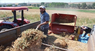 Yozgat'ta deneme ekimi yapılan kuru bezelyenin hasadı yapıldı