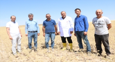 Yozgat'ta nohutta rekolte beklentisi 75 bin ton