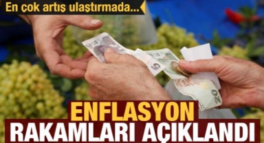 Ağustos ayı enflasyon rakamları açıklandı