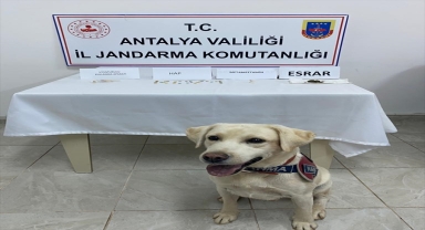 Alanya'da uyuşturucu bulunan araçtaki 4 kişi gözaltına alındı