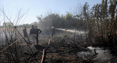 Antalya'da otluk alanda çıkan yangın kontrol altına alındı