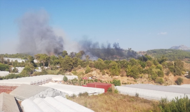 Antalya'nın Kumluca ilçesinde orman yangını çıktı
