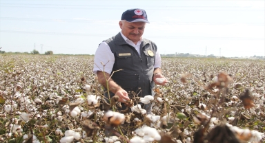 Antalya Valisi Ersin Yazıcı, Serik ilçesinde pamuk hasadına katıldı 