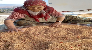 Beypazarı'nda kadınların kışlık yiyecek mesaisi sürüyor 