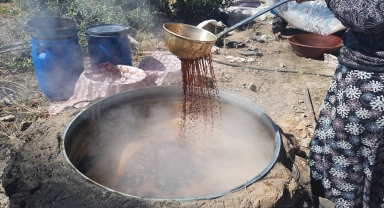 Bozkır'da aileler pekmez kaynatmaya başladı