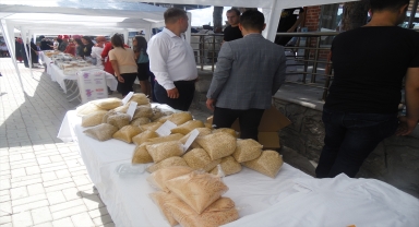 Çankırı'da 9. Geleneksel Kurşunlu Bal Festivali başladı