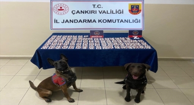 Çankırı'da uyuşturucu operasyonunda yakalanan kişi tutuklandı