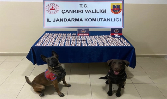Çankırı'da uyuşturucu operasyonunda yakalanan kişi tutuklandı