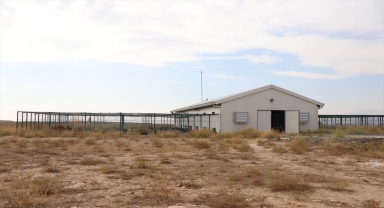 Çiftliği andıran uygulama ve araştırma merkezi bölge çiftçisine de hizmet verecek