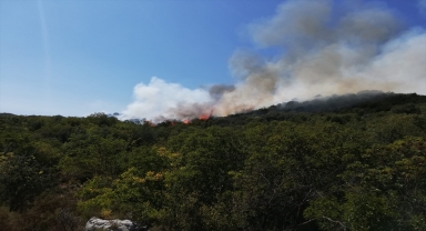 Demre'de ormanlık alanda yangın çıktı