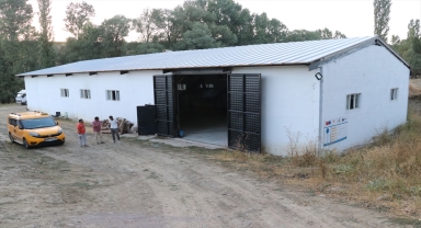 Devlet desteğiyle kurulan tesiste atık orman ürünleri ekonomiye kazandırılıyor