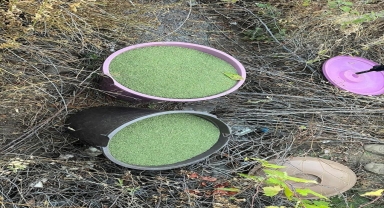 Eren Abluka-34 Narko Terör operasyonlarında 493 kilogram kubar esrar ele geçirildi