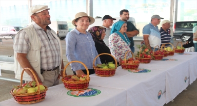Gölbaşı'nda elma ve domates yetiştiriciliği yarışması düzenlendi