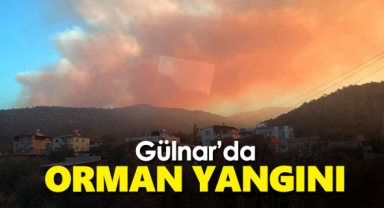 Gülnar'da Orman Yangını
