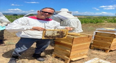 İklim değişikliği varroa hastalığının bal arıları üzerindeki etkisini artırıyor