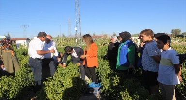 Karapınar'da gençlerin yetiştirdiği sebze ve meyveler ihtiyaç sahiplerine dağıtılıyor
