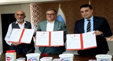 Kayseri'de manda yetiştiricileri mozzarella peyniri üretecek