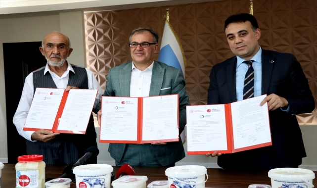 Kayseri'de manda yetiştiricileri mozzarella peyniri üretecek