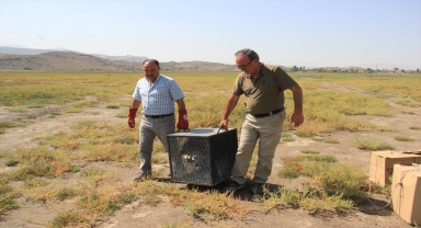 Kayseri'de tedavileri tamamlanan 6 leylek doğaya salındı