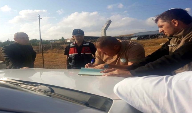 Kırıkkale'de doğaya bırakılan keklikleri yakalayıp sattığı iddia edilen kişiye ceza