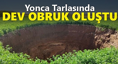 Konya'da yonca ekili tarlada obruk oluştu