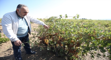 Nevşehir'de dolu ve selden zarar gören köylerde hasar tespit çalışması
