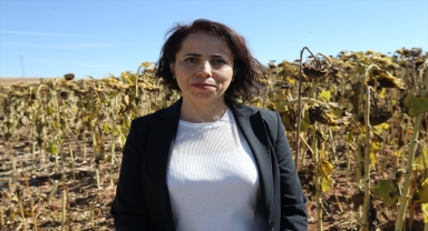 Nevşehir'de hibe tohumla yağlık ayçiçeği ekimine yönelen üreticiler verimden memnun