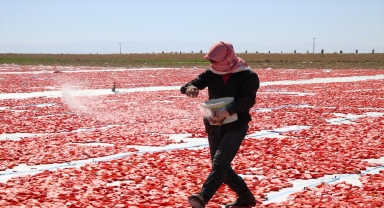 Niğde'de güneşte kurutulan domatesler Avrupa ve ABD'ye ihraç ediliyor