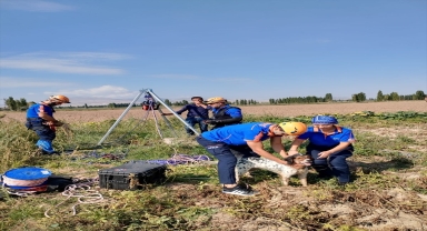Niğde'de su kuyusuna düşen av köpeği kurtarıldı