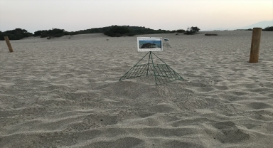 Patara kumsalında caretta caretta yavrularının denizle buluşması devam ediyor