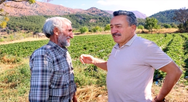 Seydişehir'de 5 çilek bahçesinde başlatılan çilek ekimi 500 dekar alana yayıldı