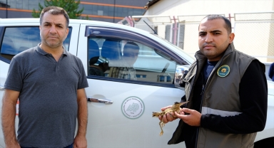 Sivas'ta üniversite hastanesinin bahçesinde yaralı Hint balıkçılı bulundu