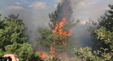 Yozgat'ta orman yangını kontrol altına alındı