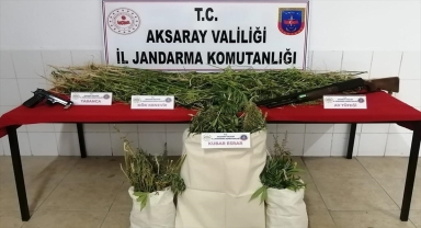 Aksaray'da 10 kilogram esrar ve 483 kök Hint keneviri ele geçirildi