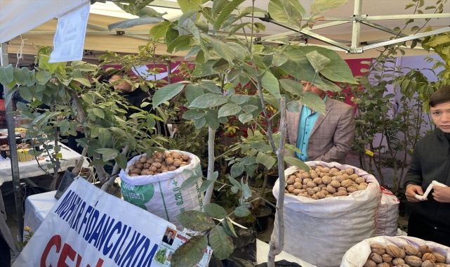Aksaray'da
