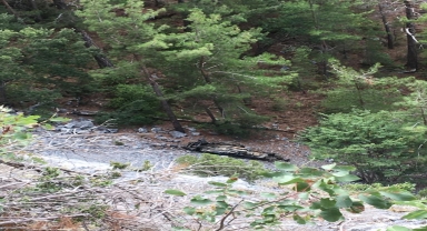 Alanya'da uçuruma yuvarlanan otomobildeki 1 kişi öldü, 1 kişi yaralandı