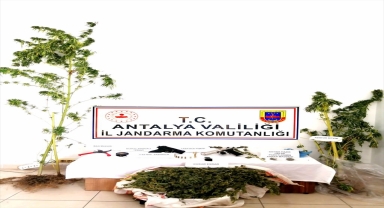 Alanya'da uyuşturucu operasyonunda 1 şüpheli yakalandı