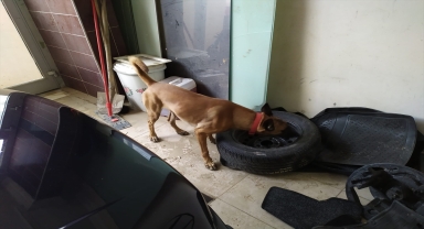 Alanya'da uyuşturucu operasyonunda yakalanan 8 zanlı tutuklandı