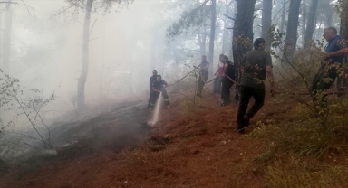 Antalya'da çıkan orman yangını kontrol altına alındı