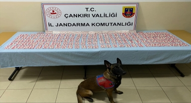 Çankırı'da düzenlenen uyuşturucu operasyonunda 3 şüpheli yakalandı