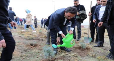 Erciyes Dağı'na lavanta ekildi